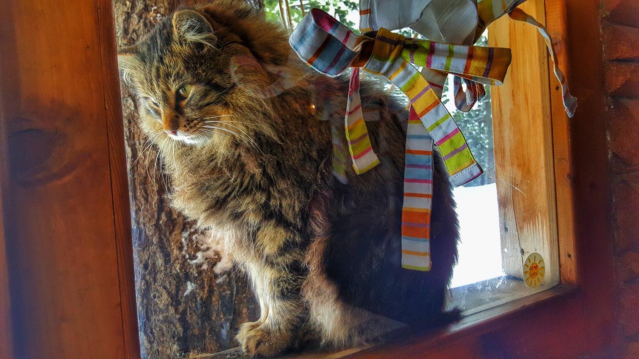 Lovna Hut Villa Panichishte Buitenkant foto