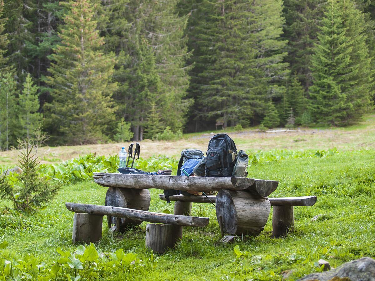 Lovna Hut Villa Panichishte Buitenkant foto